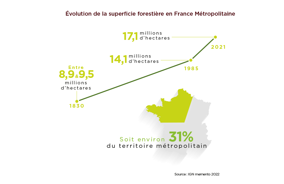 La forêt française est passée de 8,9 millions d’hectares en 1830 à 17,1 millions en 2021. Elle représente 31% du territoire métropolitain