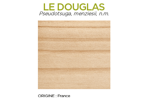 Essence de bois Douglas