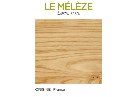 Essence de bois Mélèze